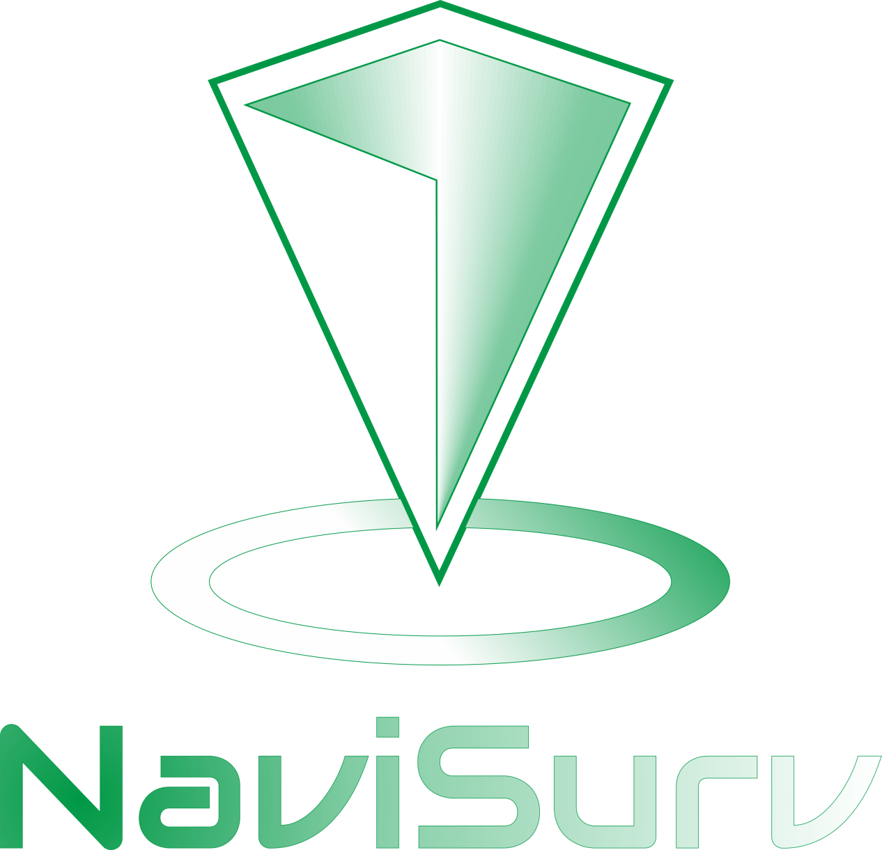 Navisurv Usługi Geodezyjne